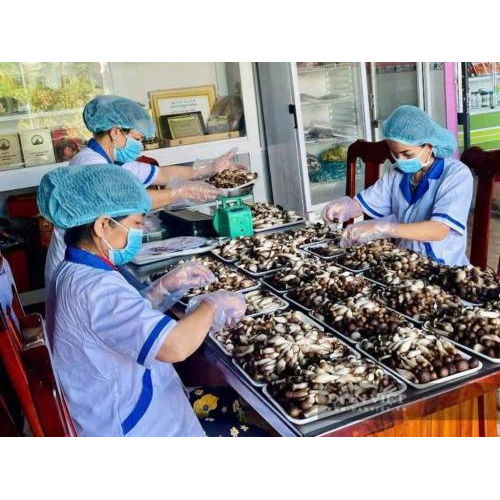 Chị Châu Thị Nương: Lọt Danh Sách "Nông Dân Việt Nam Xuất Sắc 2025"