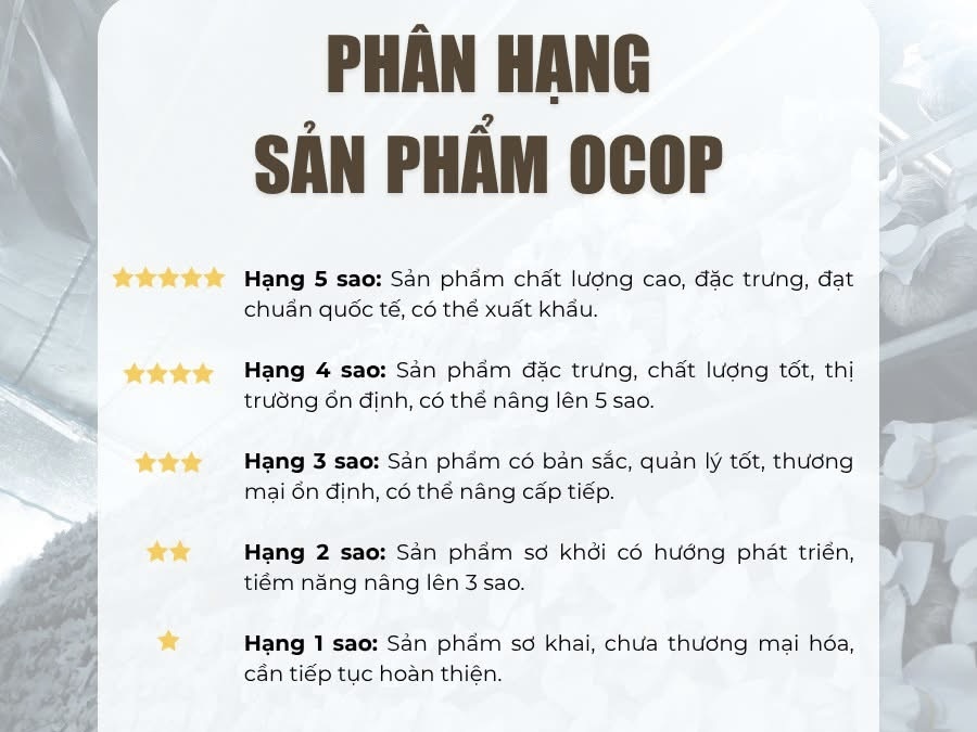 Tiêu chí công nhận sản phẩm OCOP