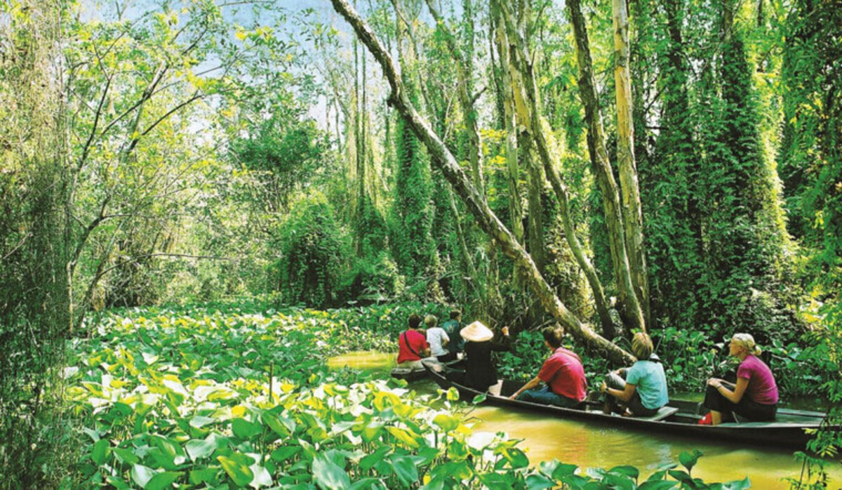 Văn hóa và du lịch