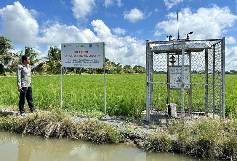 Đồng Tháp Tiên Phong Chuyển Đổi Số – Hướng Đến Chính Quyền Kiến Tạo, Công Dân Số