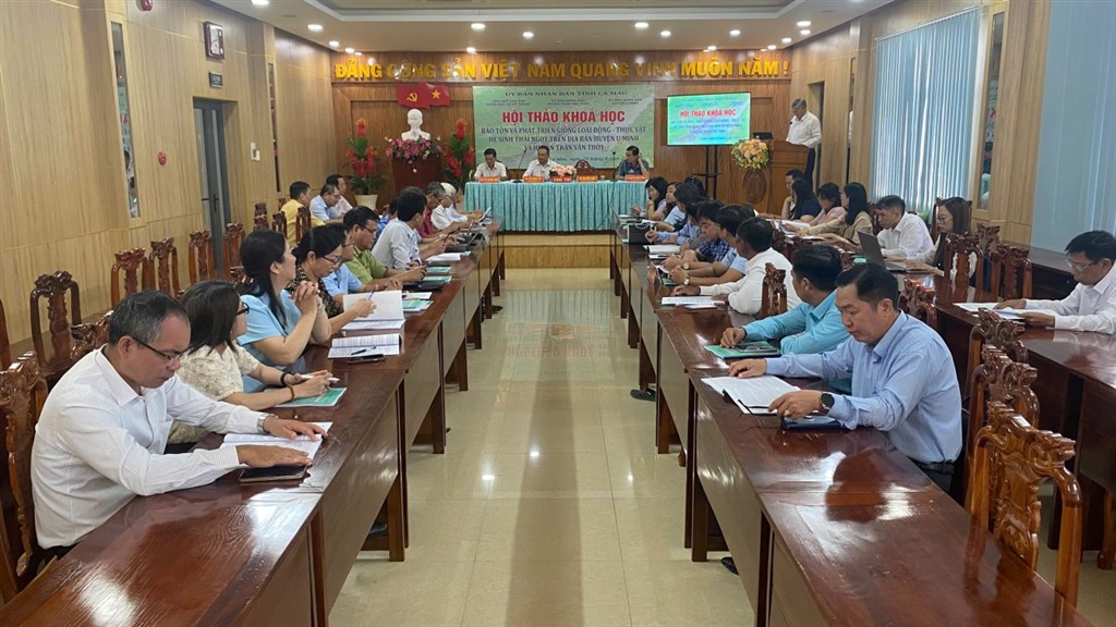 Sự hình thành và phát triển