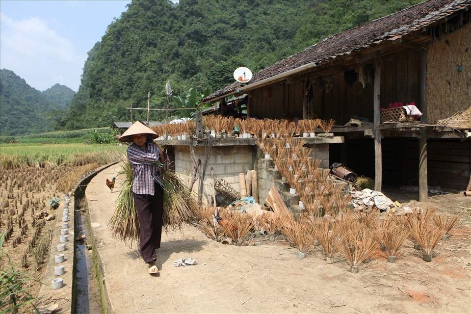 Trải nghiệm khi đến thăm