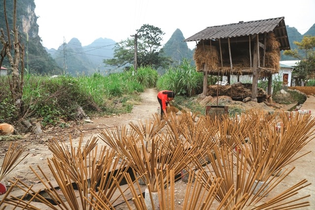 Lịch sử hình thành