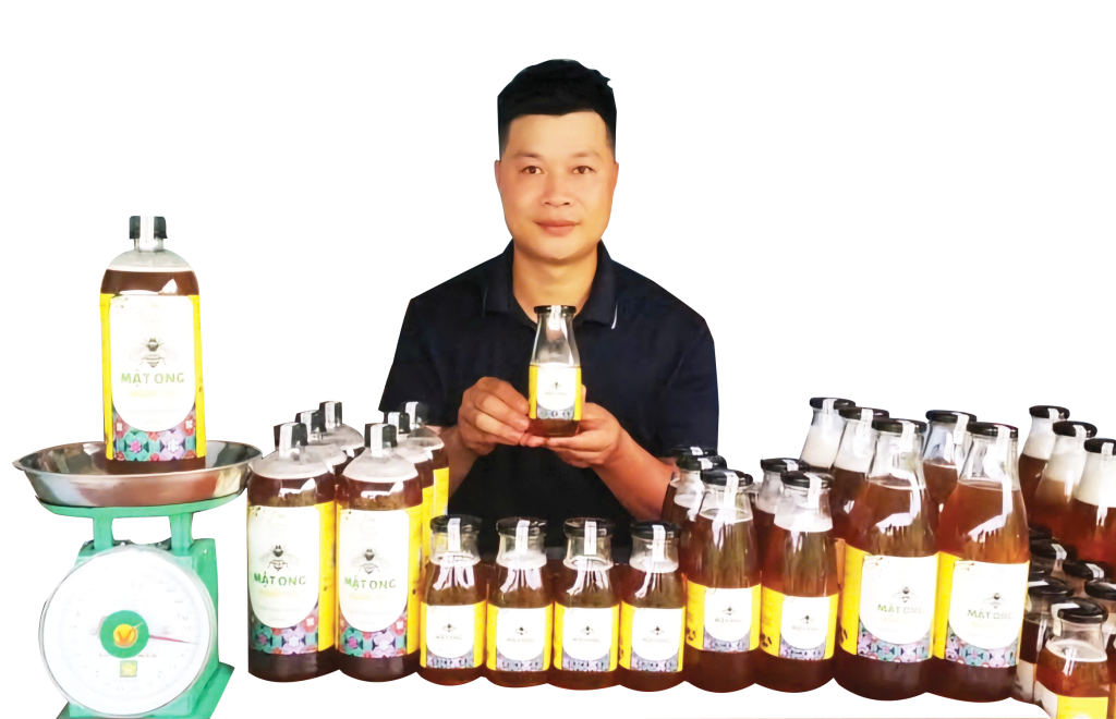 Nội dung