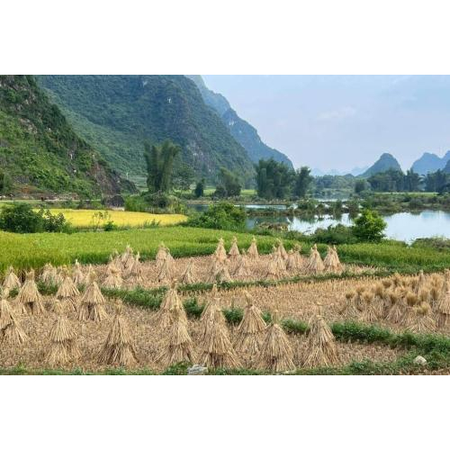 Các tiện nghi
