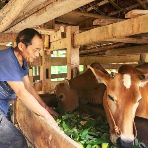 Cao Bằng Đầu Tư Trên 2.000 Tỷ Đồng Thực Hiện Các Chính Sách, Dự Án Giảm Nghèo
