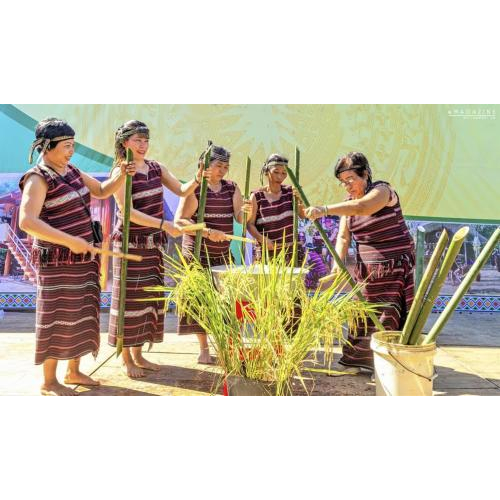 Lễ hội Sayangva: Dấu ấn về nghi lễ nông nghiệp của người Chơ