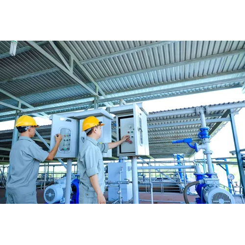 Lĩnh vực hoạt động chính