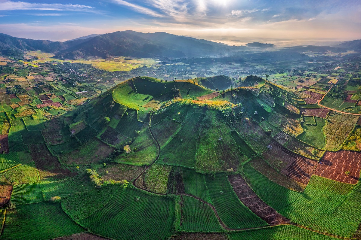 Tổng kết