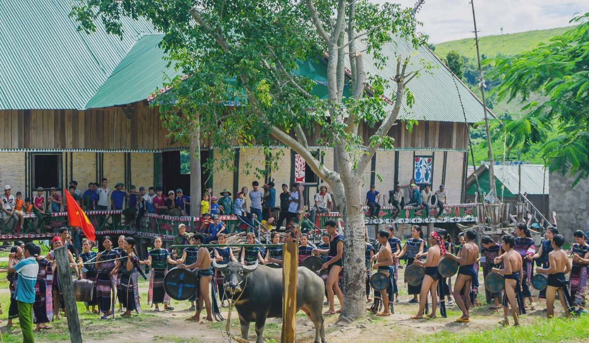 Lễ hội đâm Trâu