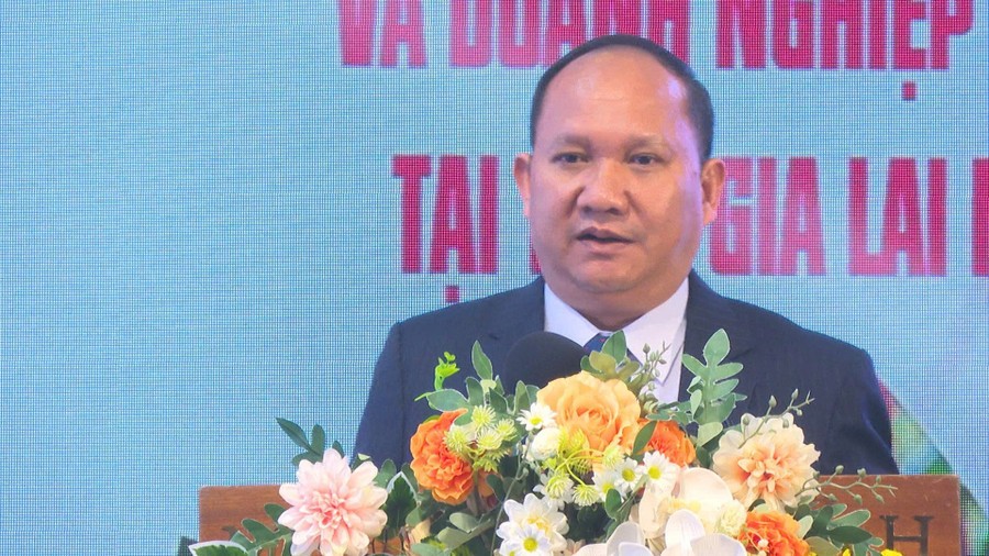 Gia Lai thúc đẩy hợp tác quốc tế, phát triển vùng nguyên liệu bền vững và công nghiệp chế biến
