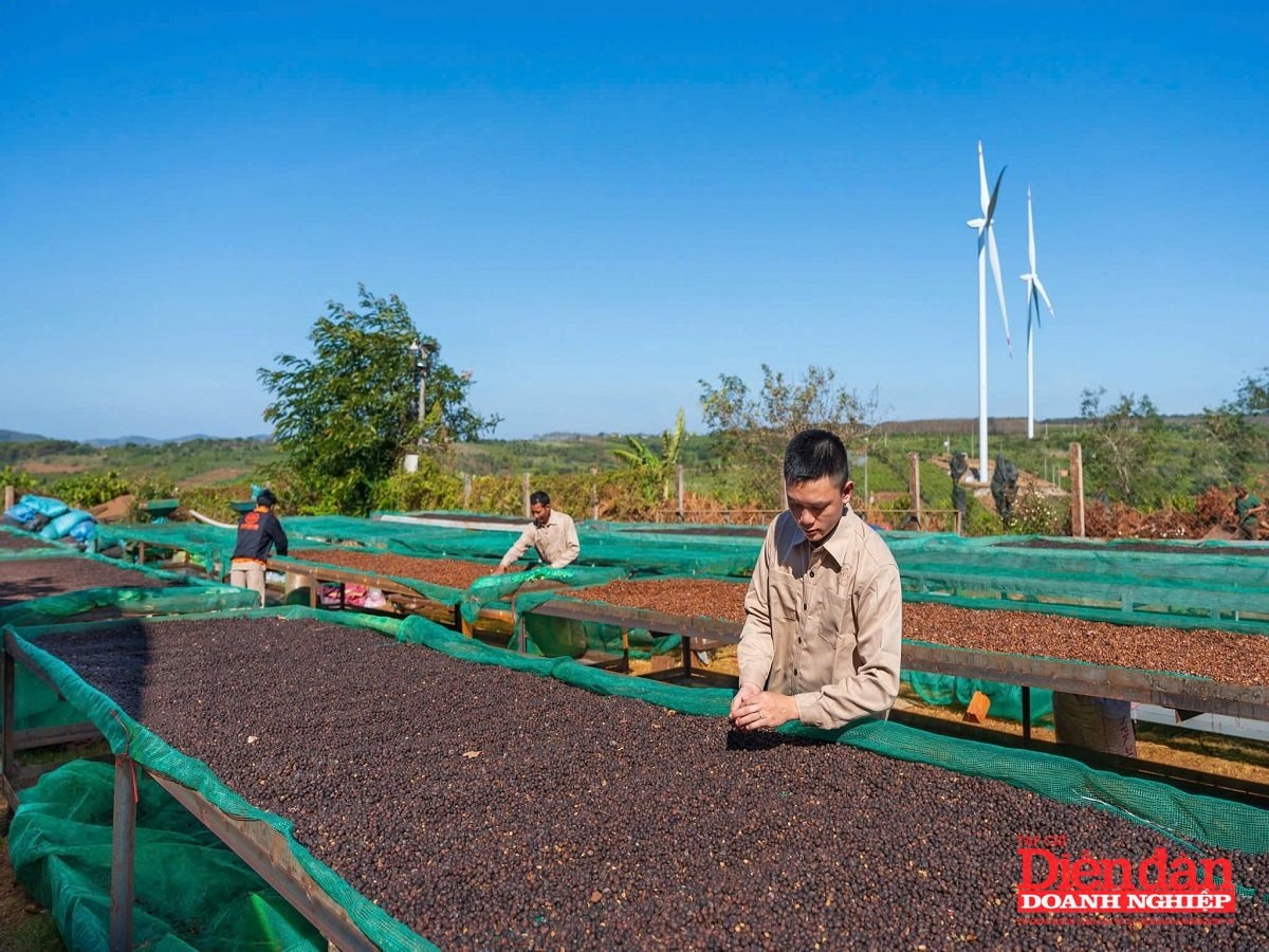 Gia Lai cam kết đồng hành, tạo môi trường thuận lợi cho doanh nghiệp xuất khẩu sang Hoa Kỳ