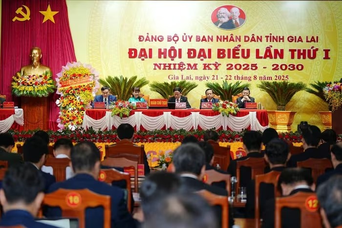 74 tổ chức cơ sở đảng, hơn 10.800 Đảng viên