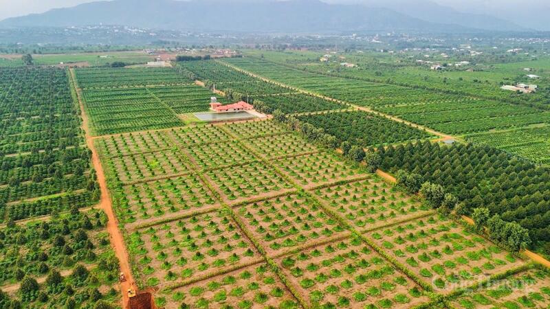 Gia Lai xúc tiến đầu tư – thương mại 2025: Thu hút nhà đầu tư, mở rộng hợp tác và thúc đẩy xuất khẩu