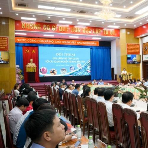 Nghe Doanh Nghiệp Phản Ánh, Bí Thư Gia Lai Hứa Tháo Gỡ, Làm Thật, Kết Quả Thật