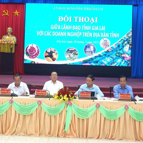 Gia Lai Cam Kết Cải Cách Mạnh Mẽ Và Hỗ Trợ Doanh Nghiệp