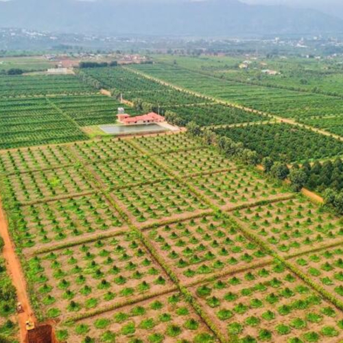 Sắp Diễn Ra Hội Nghị Xúc Tiến Đầu Tư Và Thương Mại Tỉnh Gia Lai Năm 2025