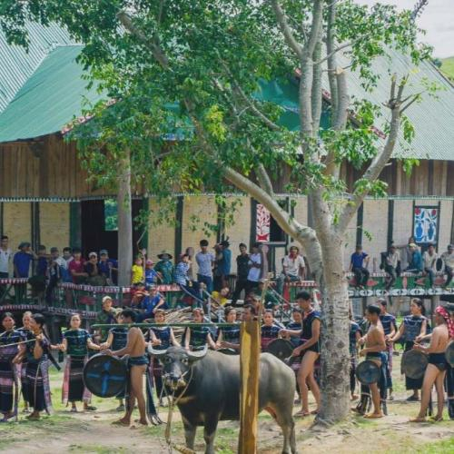 Lễ Hội Đâm Trâu
