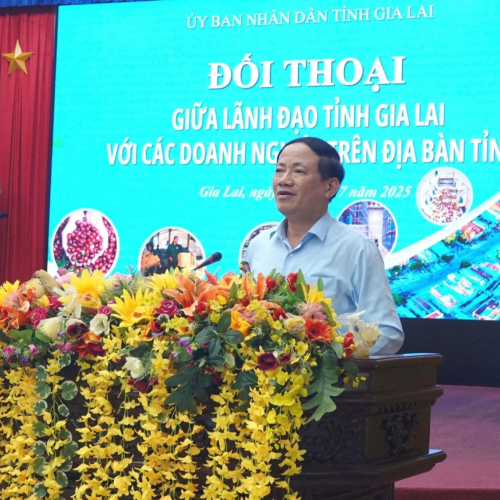 Gia Lai Cam Kết Cải Cách Mạnh Mẽ Và Hỗ Trợ Doanh Nghiệp