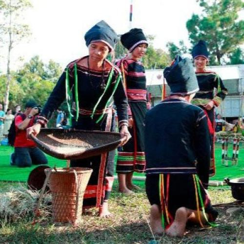 Lễ Mừng Lúa Mới