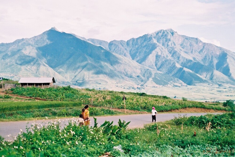 Văn hóa và du lịch