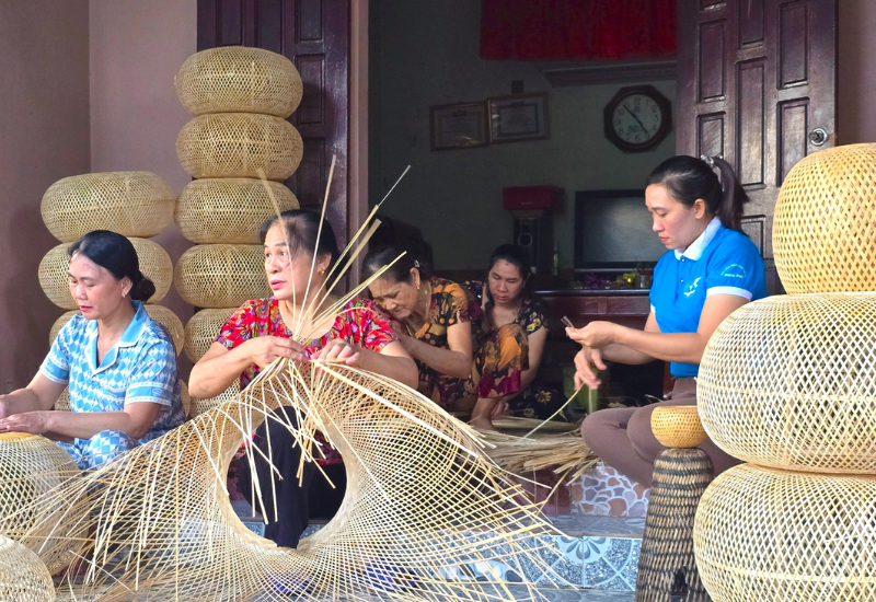 Giới thiệu