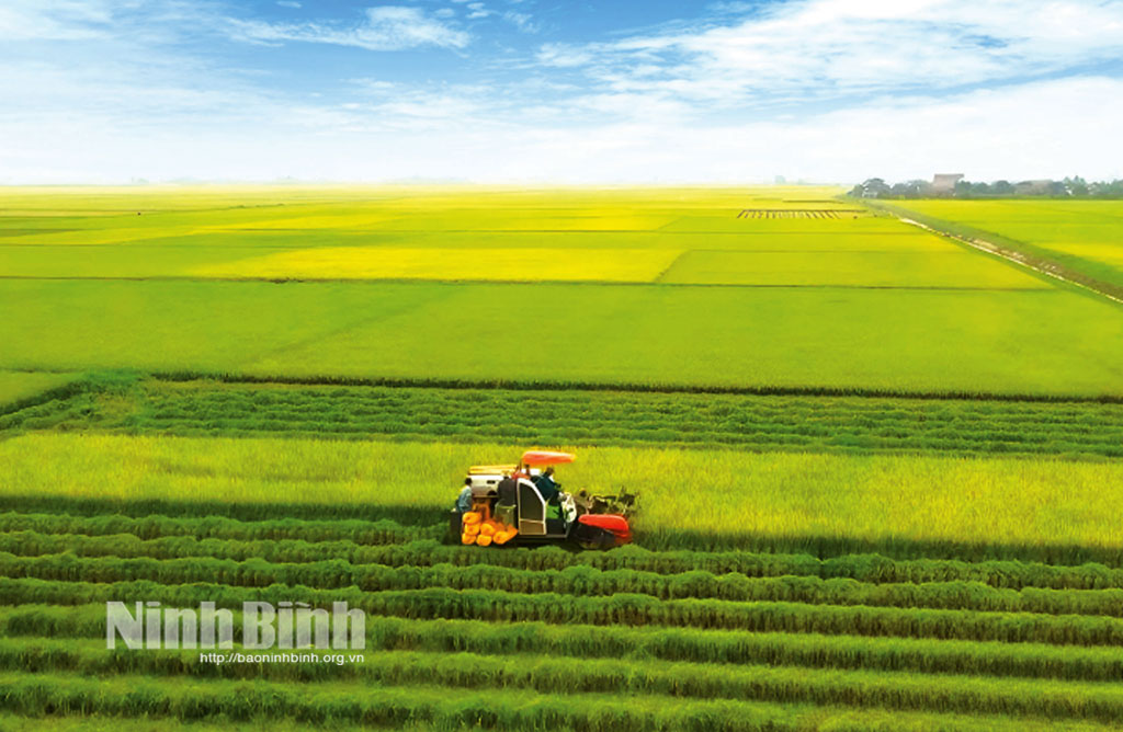 Ninh Bình định hướng thu hút đầu tư theo ngành, lĩnh vực và đối tác chiến lược