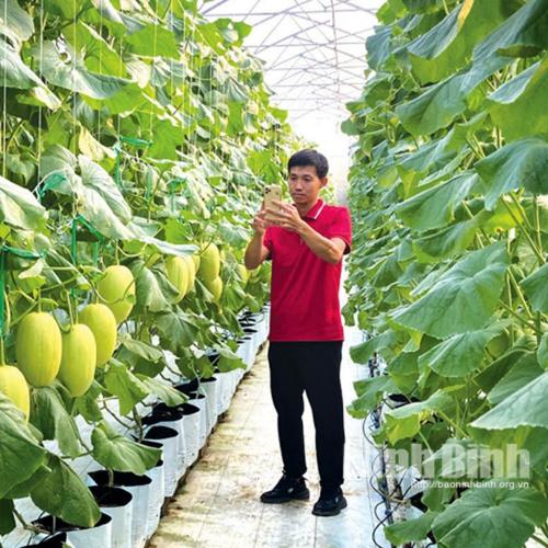 Nông Dân Ninh Bình Bắt Nhịp Chuyển Đổi Số