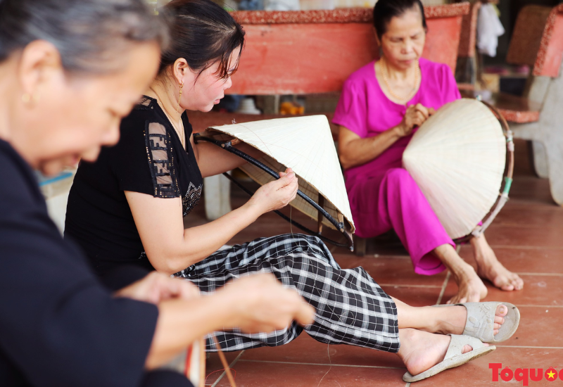 Giới thiệu