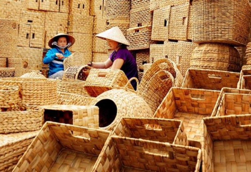 Lịch sử hình thành và phát triển