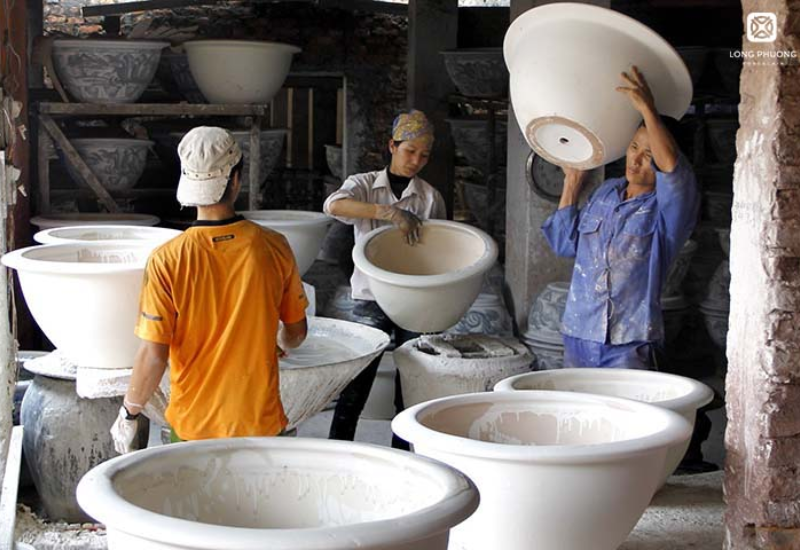Lịch sử và phát triển