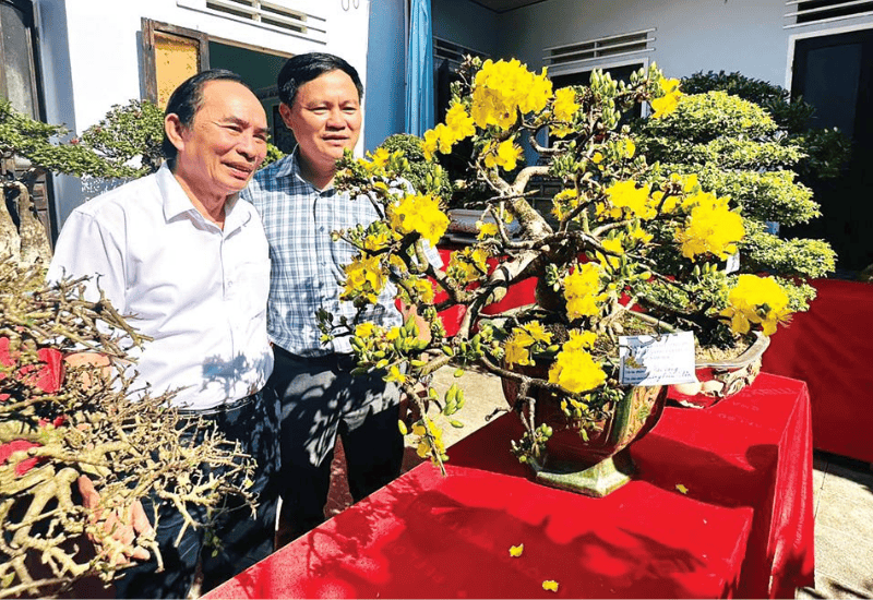 Giới thiệu