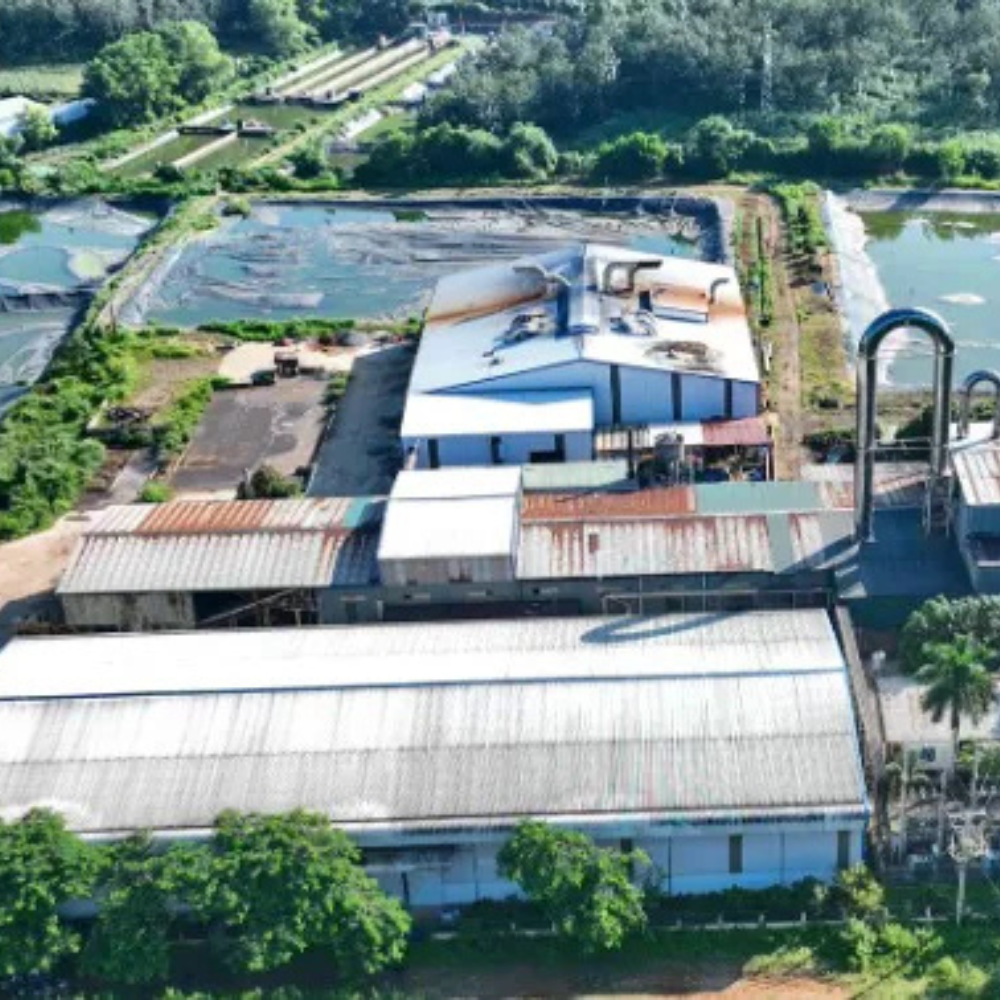 Sơn La Hỗ Trợ Doanh Nghiệp Phục Hồi Nhanh, Phát Triển Bền Vững