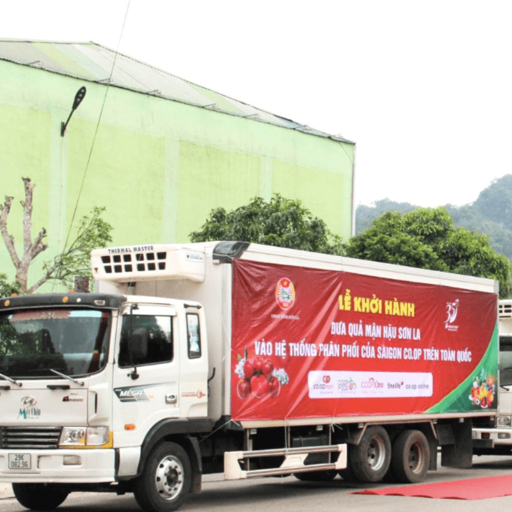 Sơn La Đẩy Mạnh Quảng Bá, Xúc Tiến Tiêu Thụ Mận Hậu Và Nông Sản Sạch