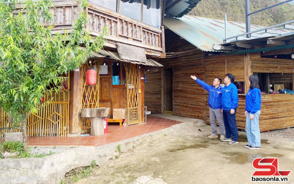 Thanh niên Sơn La khởi nghiệp từ tài nguyên bản địa