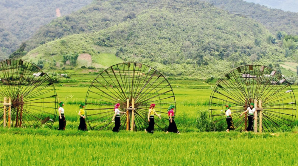 Lịch sử hình thành và phát triển