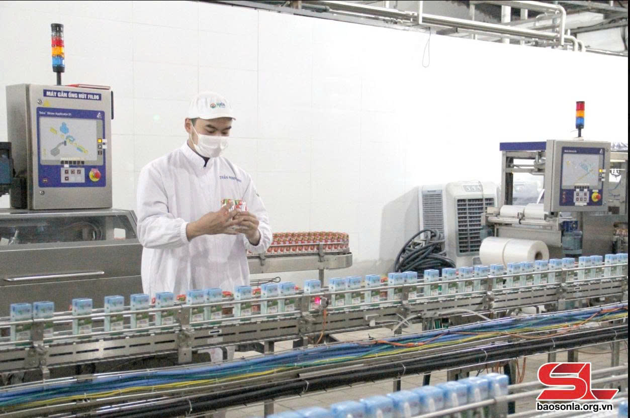 Sơn La đẩy mạnh ngoại giao kinh tế, quảng bá nông sản và sản phẩm OCOP ra thế giới