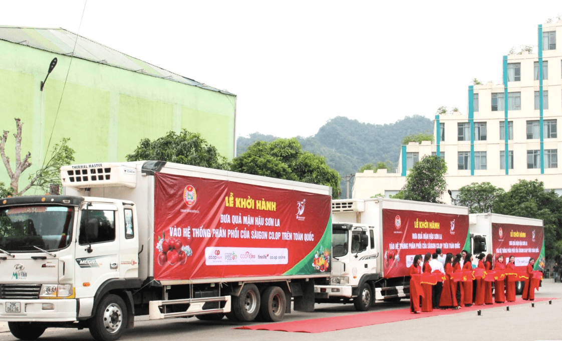 Sơn La tiêu thụ hơn 48.000 tấn quả trong 5 tháng đầu năm 2024, giá trị trên 1.000 tỷ đồng