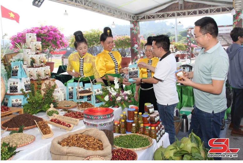 Thành phố Sơn La thúc đẩy sản xuất nông sản an toàn, nâng cao giá trị chuỗi và sản phẩm OCOP