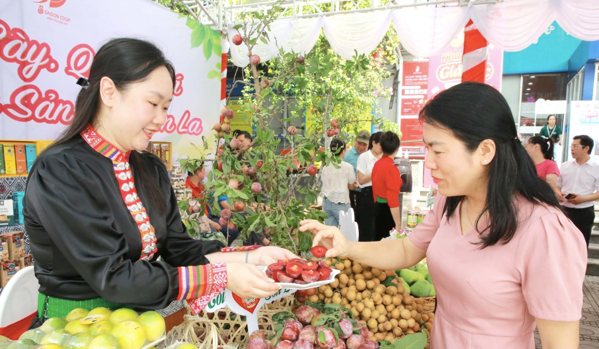 Mở rộng giao thương