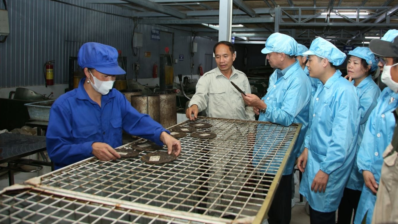 Sơn La tăng cường tháo gỡ khó khăn tín dụng, hỗ trợ doanh nghiệp và hợp tác xã