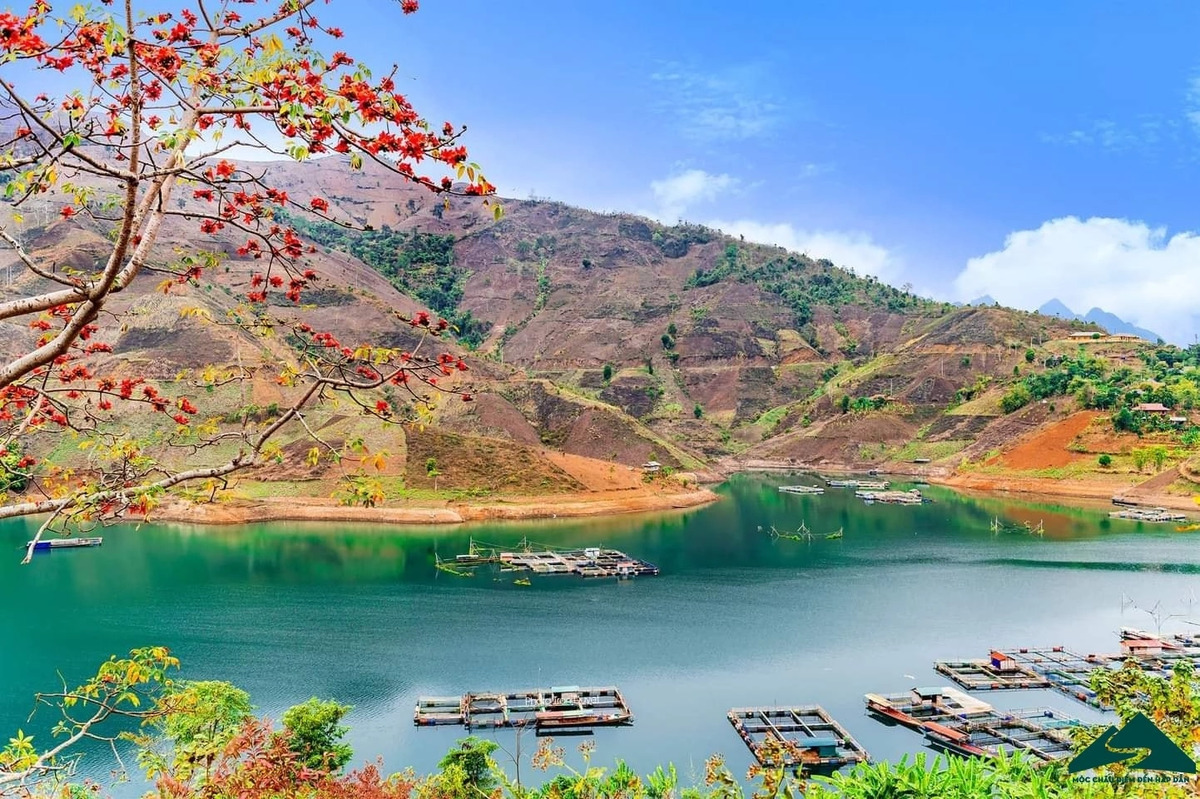 Văn hóa và du lịch