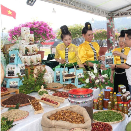 Sơn La: Hỗ Trợ Doanh Nghiệp Nông Nghiệp Lên Sàn 