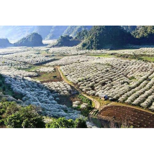 Văn hóa và du lịch