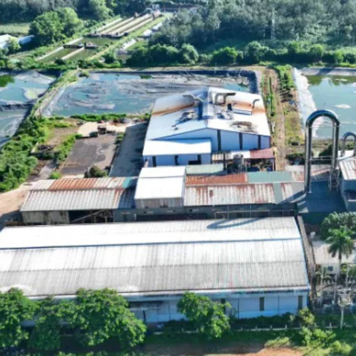 Sơn La Hỗ Trợ Doanh Nghiệp Phục Hồi Nhanh, Phát Triển Bền Vững