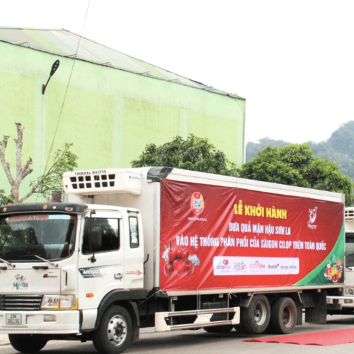Sơn La Đẩy Mạnh Quảng Bá, Xúc Tiến Tiêu Thụ Mận Hậu Và Nông Sản Sạch