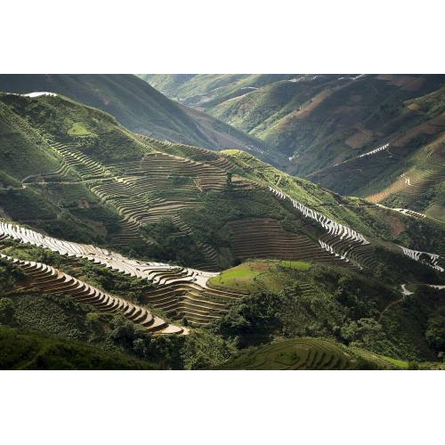 Văn hóa và du lịch