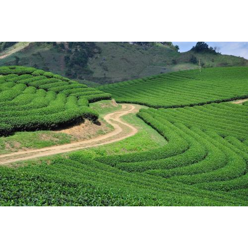 Văn hóa và du lịch