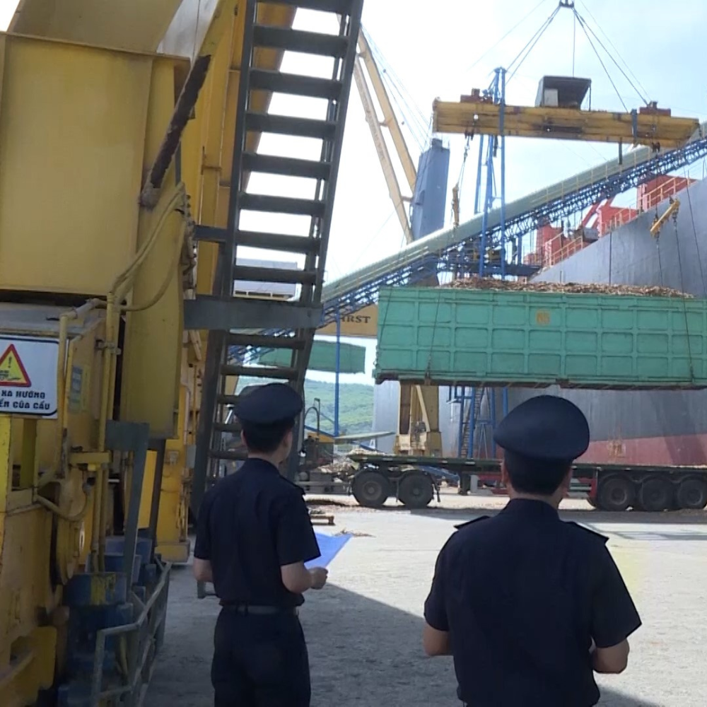 Thanh Hóa Hỗ Trợ Doanh Nghiệp Nỗ Lực Đạt Mục Tiêu Xuất Khẩu