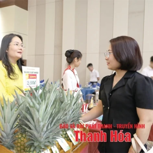 Tổ Chức Chương Trình Xúc Tiến Thương Mại, Kết Nối Giao Thương Doanh Nghiệp Thanh Hóa Ba Miền Năm 2025